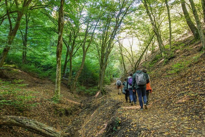 danube-bend-hiking-and-kayaking
