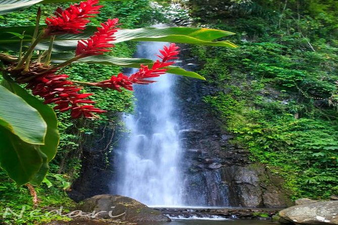 dark-view-falls-tour-with-trubb-taxi-tours-svg