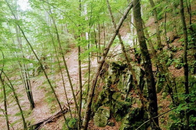 day-hike-in-the-mountains-of-sanremo