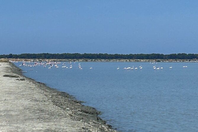 day-tour-of-apollonia-park-vlore-and-narta-from-tiranadurres-3