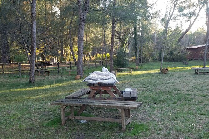 day-tour-of-berat-and-karavasta-lagoon-from-tiranadurres