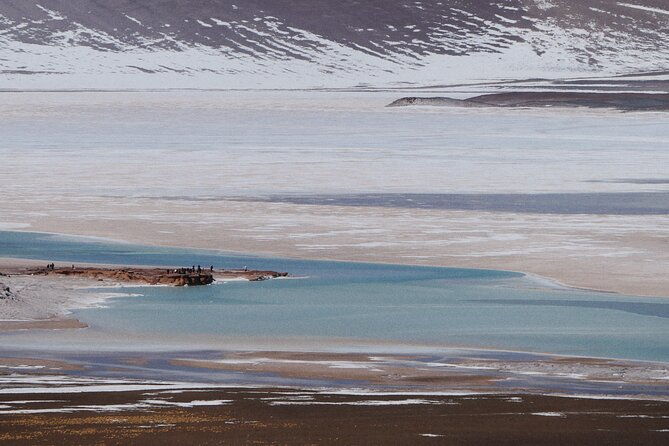 day-tour-to-piedras-rojas-and-altiplanic-and-chaxa-lagoons