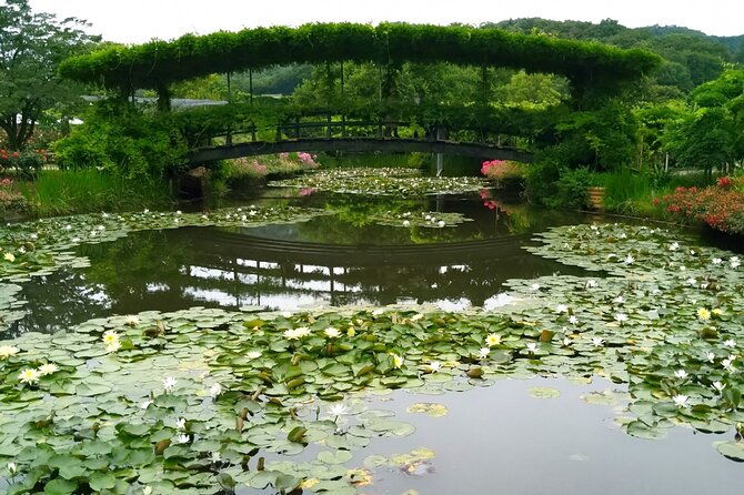 day-trip-ashikaga-flower-park-by-private-car-from-tokyo