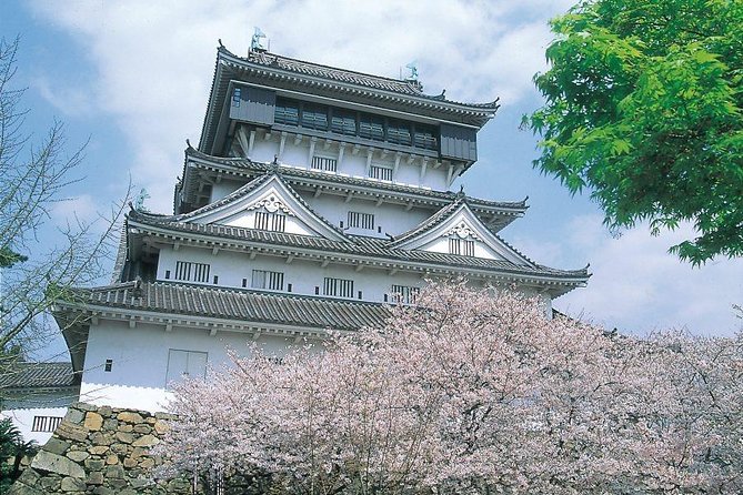 day-trip-for-sakura-at-aso-kumamoto-from-fukuoka-with-minibus