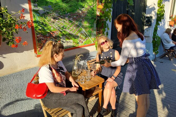 day-trip-from-bratislava-winery-tour-with-wine-tasting-in-the-countryside