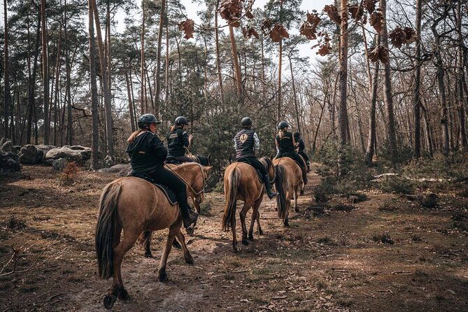 day-trip-to-fontainebleau-horse-riding-gastronomy-and-castle