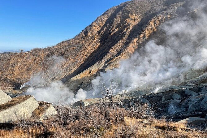day-trip-to-hakone-from-tokyo-with-national-licensed-guide