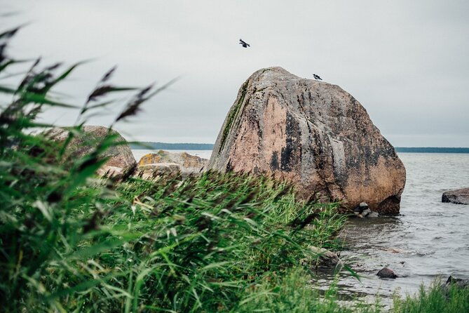 day-trip-to-land-of-bays-the-romantic-north-coast-from-tallinn