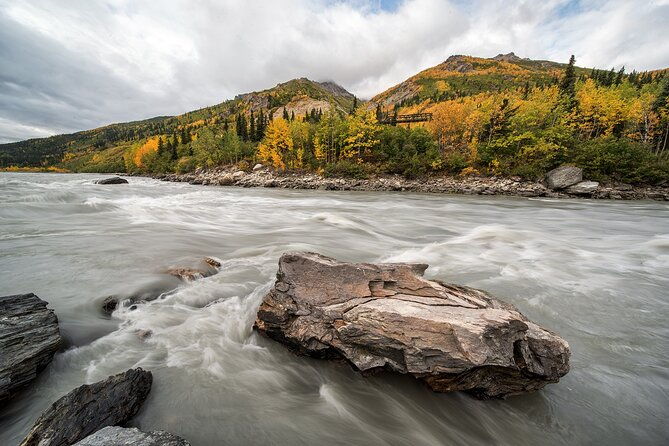 denali-photo-excursion