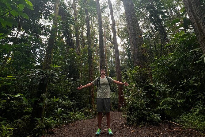 diamond-head-and-manoa-falls-hike-and-adventure-tour
