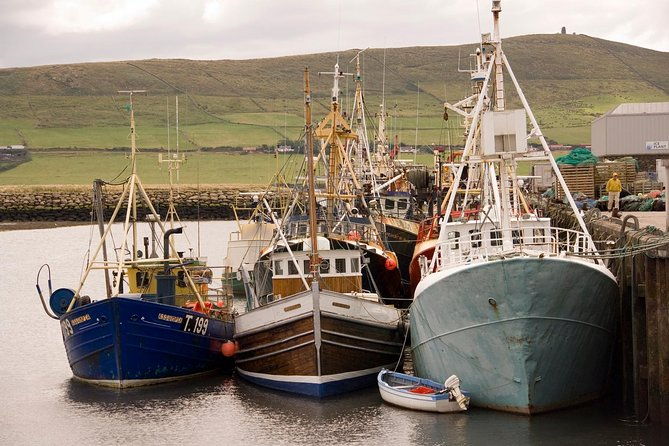 dingle-peninsula-day-tour-from-killarney-including-the-wild-altanic-way