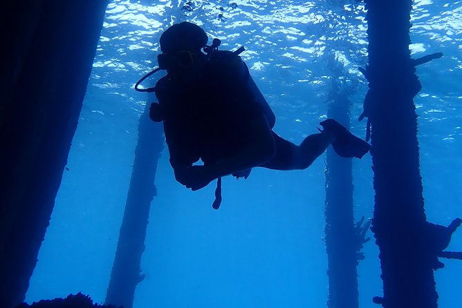 discover-diving-in-curacao