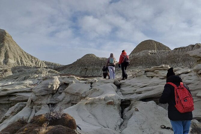 discover-la-leona-petrified-forest-guided-hiking-tour
