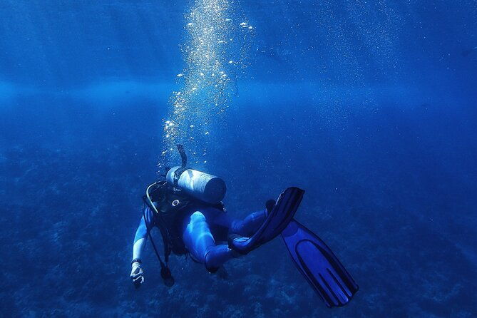 discover-scuba-diving-in-roatan-at-upachaya-with-private-transfer