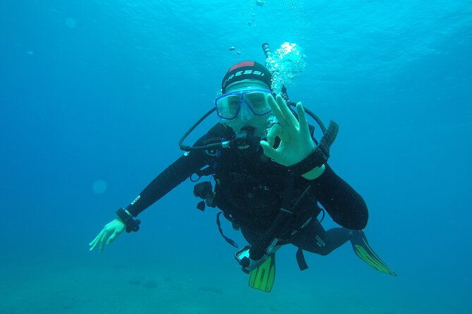 discover-scuba-diving-tenerife-photos-and-videos-included