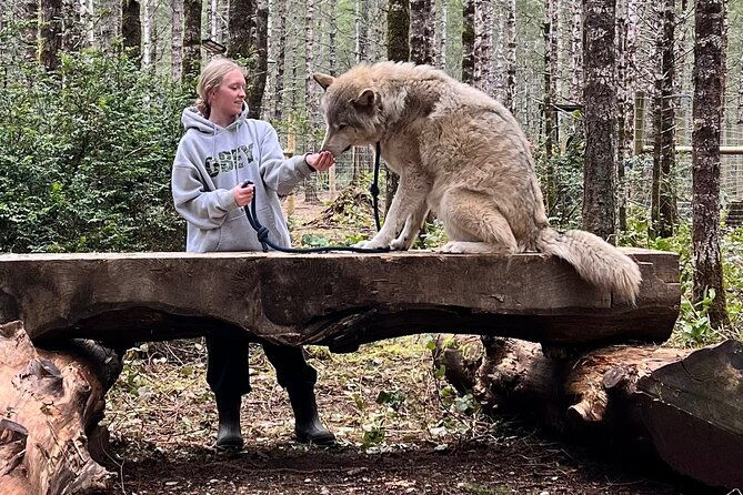 discover-the-beauty-of-the-wild-roam-in-the-spirit-of-the-wolf-2