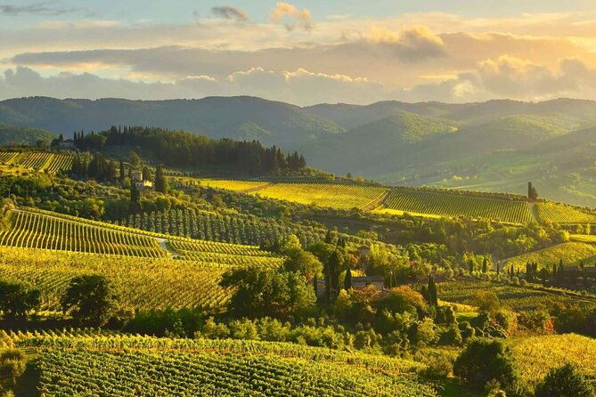 discovering-chianti-sunset-ebike-tour-and-dinner