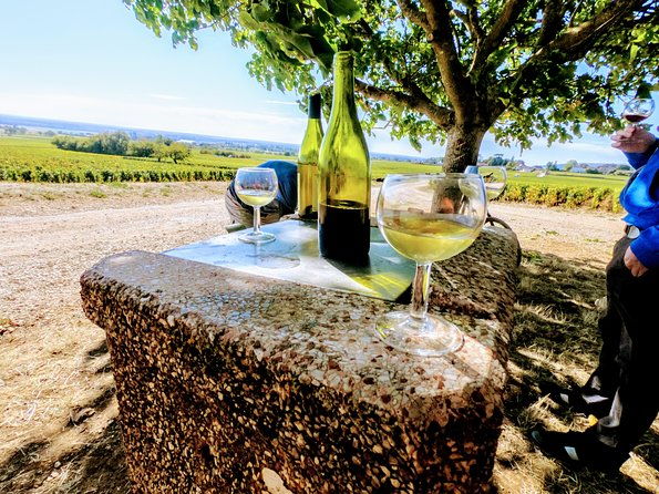 discovery-by-bike-tasting-in-the-vineyards