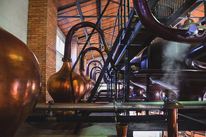 discovery-tour-braastad-cognac