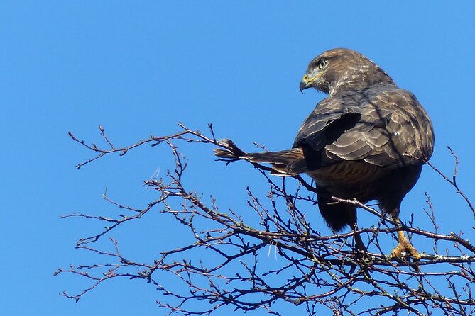 discovery-wildlife-safari-2