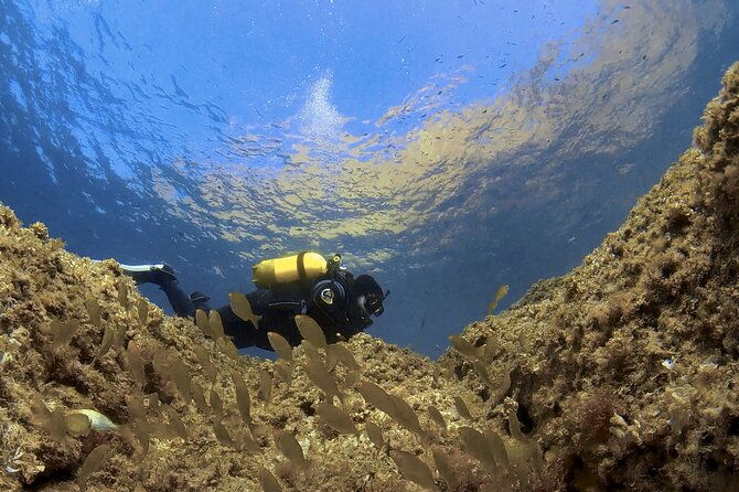 diving-baptism-in-the-marine-reserve-of-cabo-tinoso-2