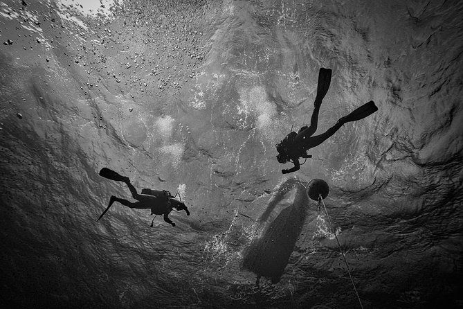 diving-baptism-with-cylinders-introdive-at-the-capo-carbonara-marine-protected-area-2