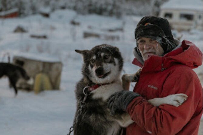 dogsled-rides