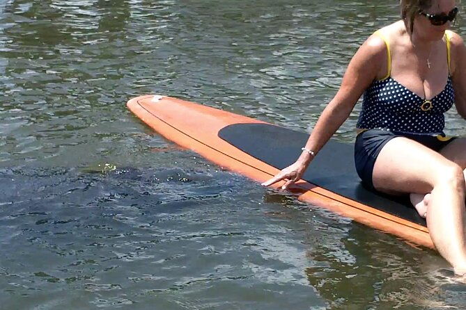 dolphin-and-manatee-adventure-tour-of-osprey-with-florida-history