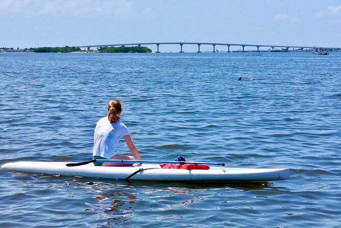dolphin-and-manatee-clear-kayak-or-paddleboard-island-hop-tour