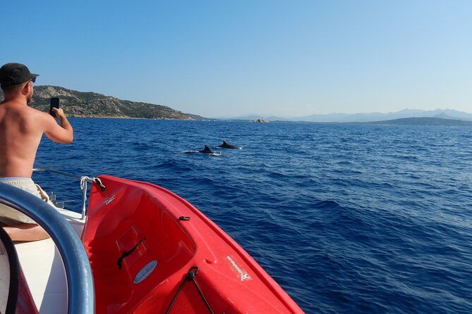 dolphin-area-rib-boat-tour-small-group_-guided-tour_up-7-people