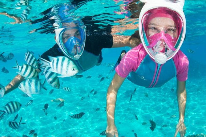 dolphin-mini-cruise-at-playa-del-carmen-2