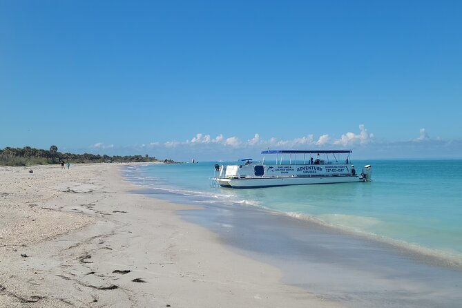 dolphin-shelling-snorkeling-tours-private-charters-2
