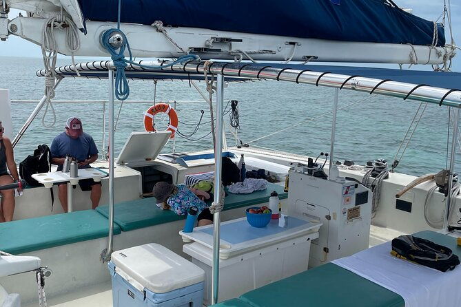 dolphin-watch-sunset-sail-with-honest-eco