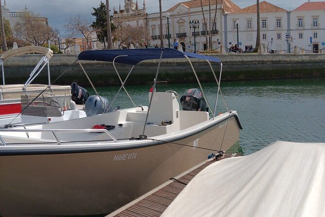 dolphin-watching-and-wildlife-from-faro