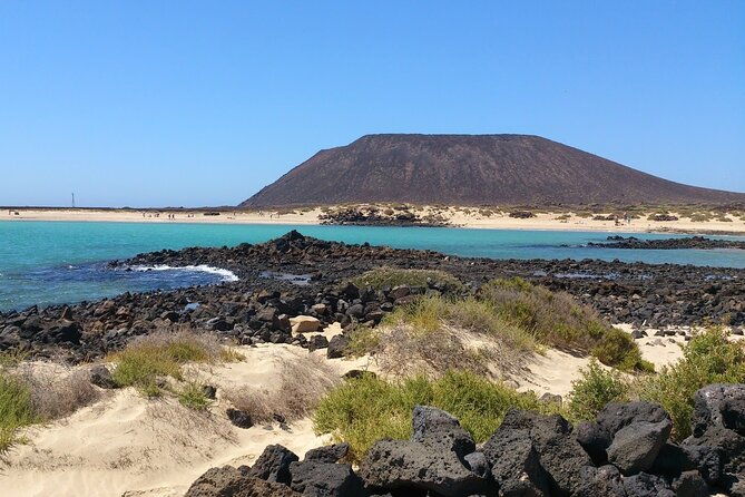 dolphin-watching-cruise-to-lobos-island