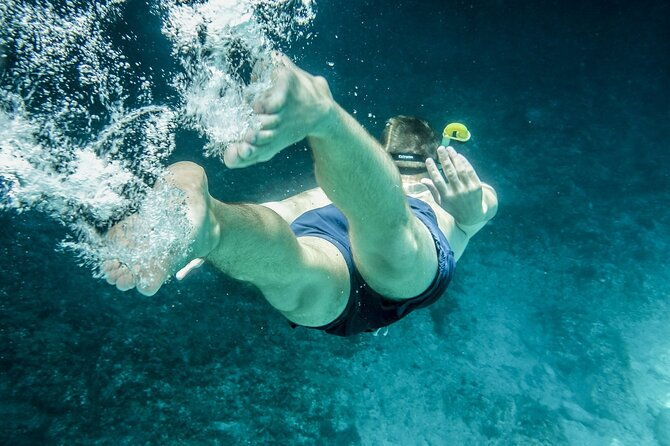 dolphin-watching-snorkeling-in-key-west-with-sunset-dinner-cruise-and-open-bar