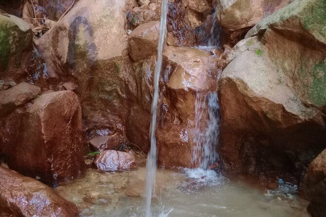 dominica-waterfalls-full-day-private-expedition-autop-tours