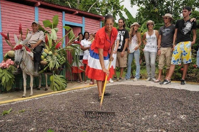dominican-safari-half-day