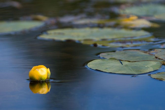 door-county-wetlands-kayak-tour
