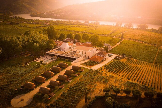 douro-luxury-walking-tour-with-full-lunch-at-quinta-da-pacheca-2