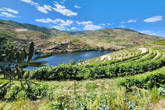 douro-valley-private-tour-winery-boat-viewpoint