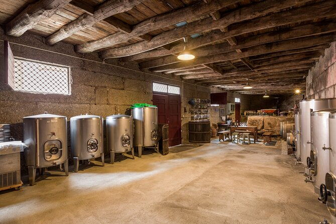 douro-wine-tasting-at-a-family-winery-in-portugal