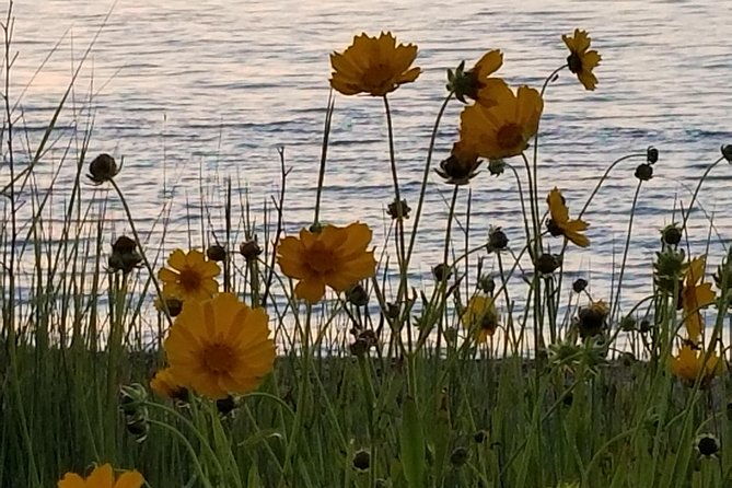 down-island-tour-with-one-hour-in-edgartown