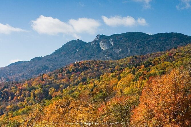 downtown-asheville-biltmore-village-private-full-day-tour
