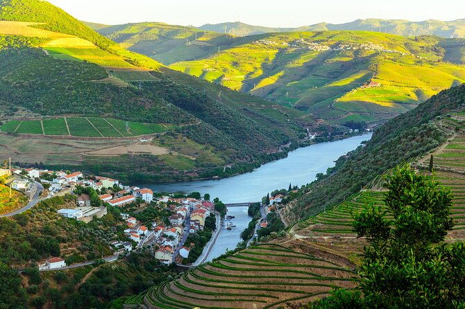 driver-with-private-vehicle-in-the-douro-valley