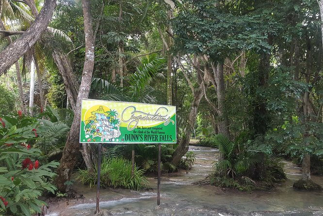 dunns-river-falls-and-beach-from-ocho-rios-jamaica