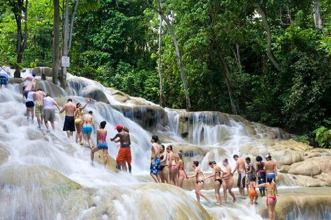 dunns-river-falls-luminous-lagoon-guided-tour-with-admission-from-falmouth