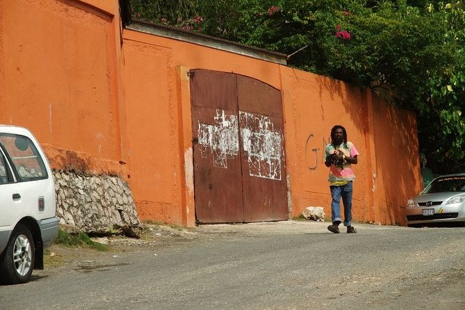dunns-river-falls-plus-bob-marley-nine-mile-private-tour