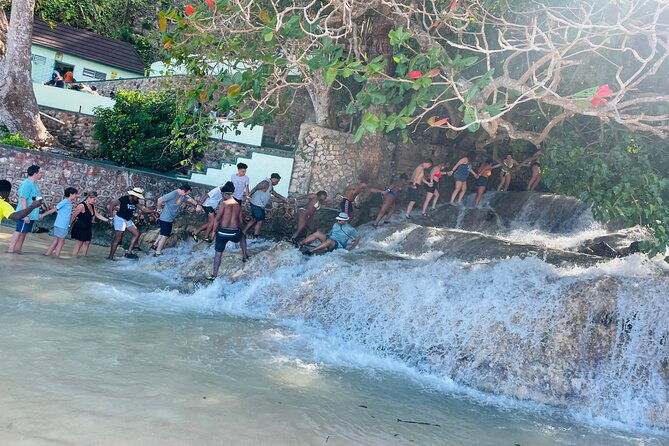 dunns-river-falls-with-zip-line-half-day-tour
