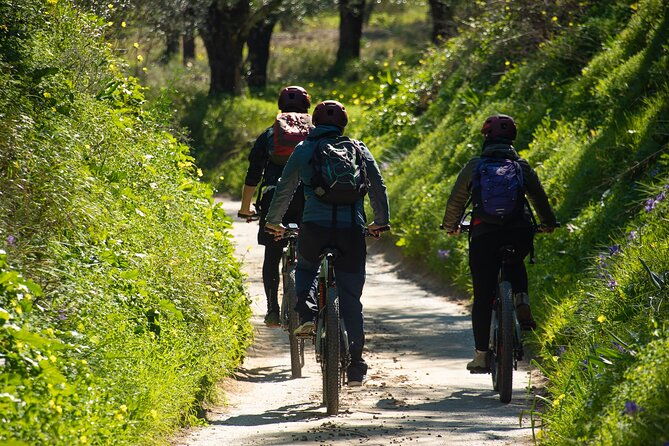 e-bike-kalamata-olive-routes